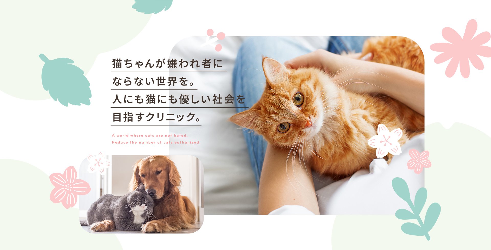 猫ちゃんが嫌われ者に ならない世界を。 人にも猫にも優しい社会を目指すクリニック。